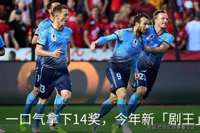 一口气拿下14奖，今年新「剧王」诞生了