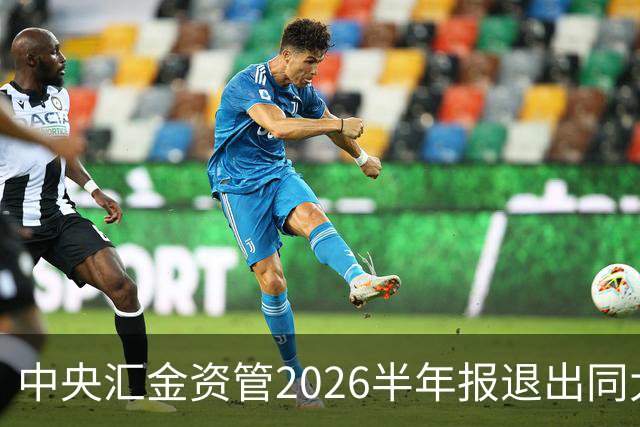 中央汇金资管2026半年报退出同大股份前十大股东名单