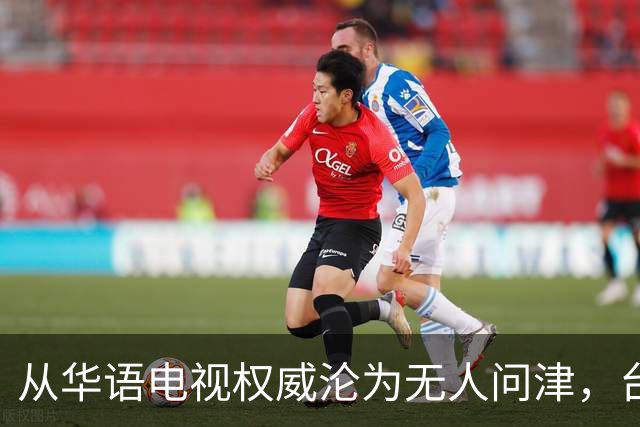 从华语电视权威沦为无人问津，台湾金钟奖，只剩仔仔和深V撑场面