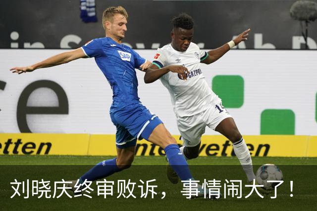 刘晓庆终审败诉，事情闹大了！