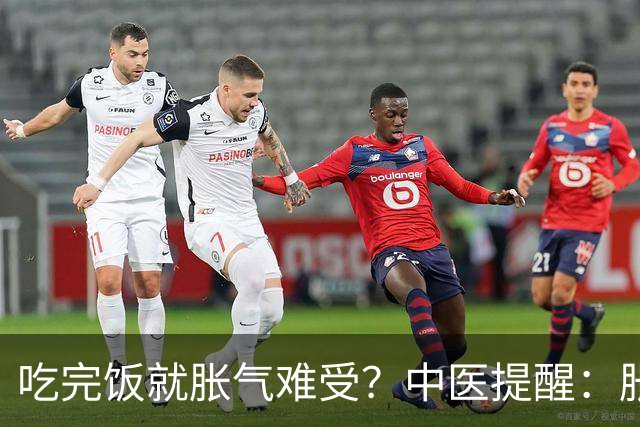 吃完饭就胀气难受？中医提醒：胀气也分人，调理方向大不同