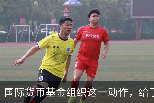 国际货币基金组织这一动作，给了赖清德当头一棒，民进党急眼了