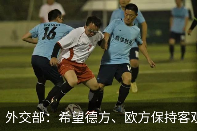 外交部：希望德方、欧方保持客观理性，同中方相向而行