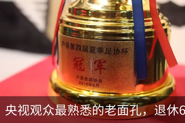 央视观众最熟悉的老面孔，退休6个月还没来得及享福就离世，一辈子无儿无女，他的人生比罗京更令人惋惜