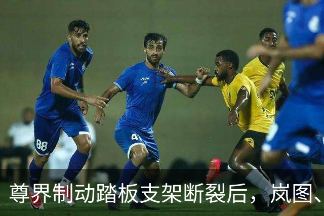尊界制动踏板支架断裂后，岚图、本田、仰望等多家车企高管晒自家刹车部件，发布猛踩刹车视频