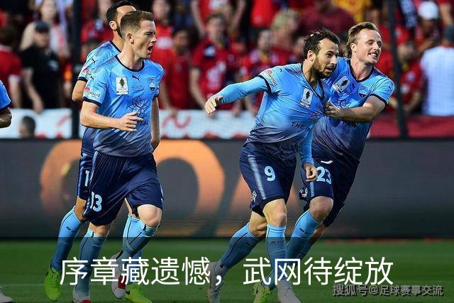 序章藏遗憾，武网待绽放