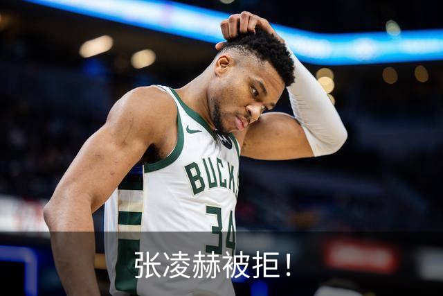 张凌赫被拒！