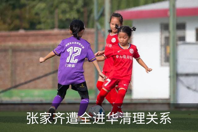 张家齐遭全进华清理关系? 母女关系迎来反转，专业人士也解决不了