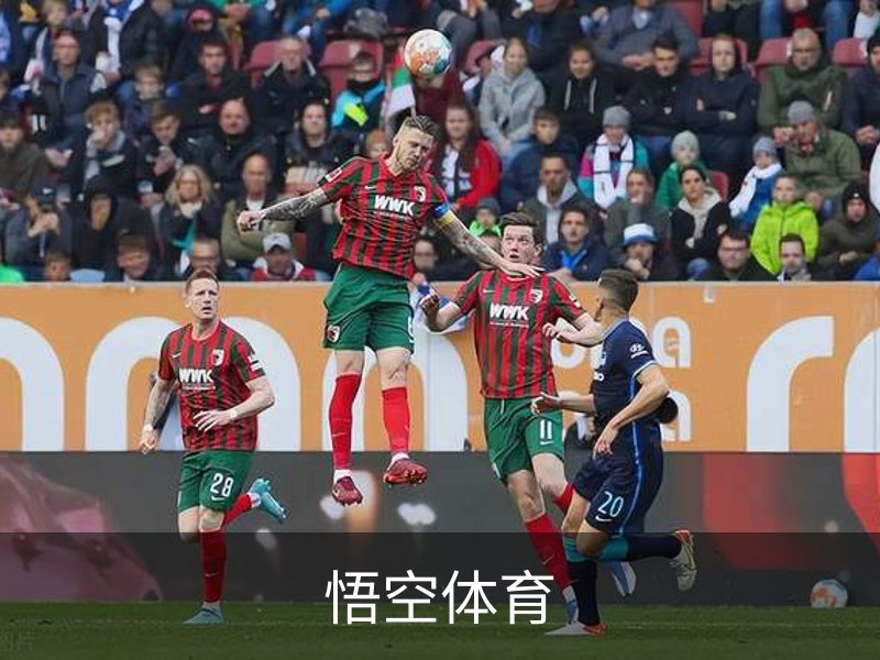 悟空体育概况