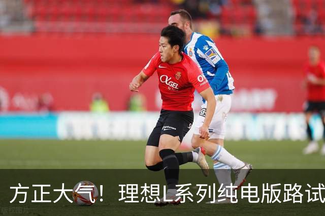 方正大气！理想L系列纯电版路试谍照曝光：尾部采用贯穿式尾灯