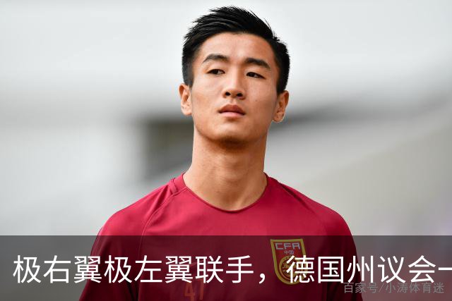 极右翼极左翼联手，德国州议会一份动议，44票对42票之差