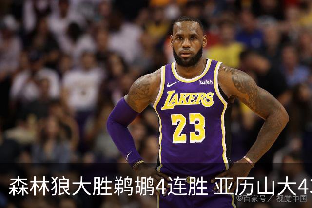 森林狼大胜鹈鹕4连胜 亚历山大43分雷霆克骑士