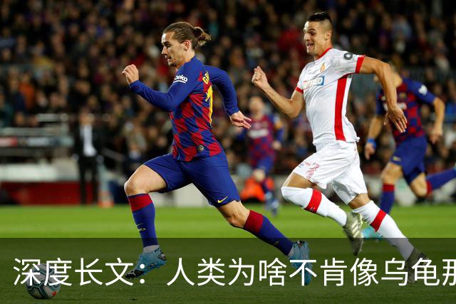 深度长文：人类为啥不肯像乌龟那样吃一顿管好几天？