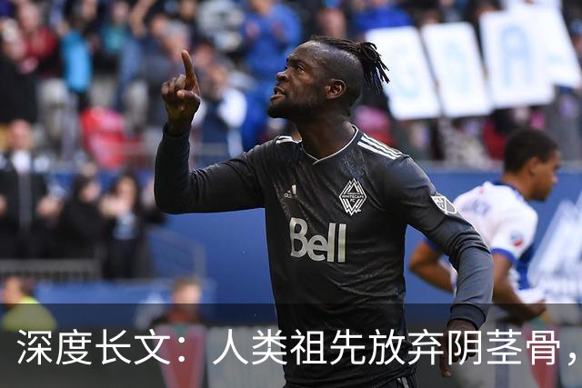 深度长文：人类祖先放弃阴茎骨，换来了无法伪装的亲密！