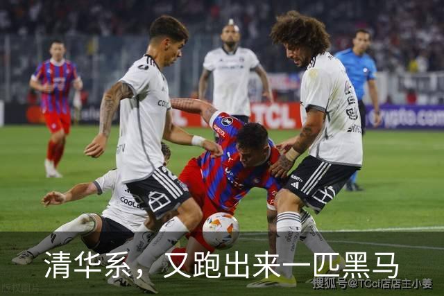 清华系，又跑出来一匹黑马