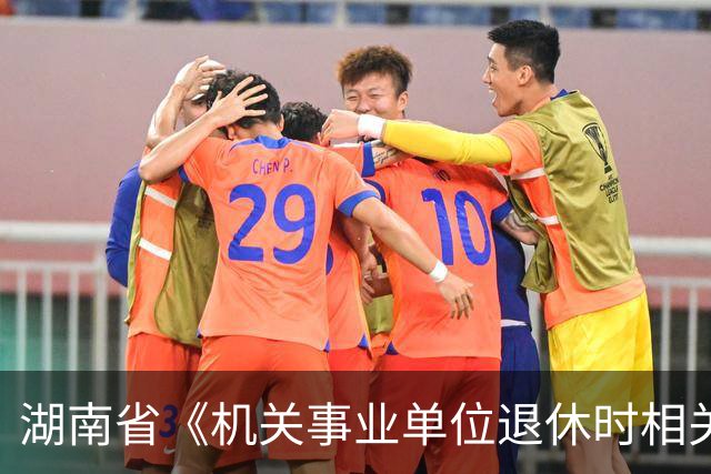 湖南省《机关事业单位退休时相关工资和退休费待遇备案表》精解