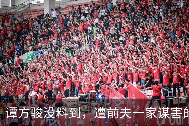 谭方骏没料到，遭前夫一家谋害的富婆蔡天凤，竟给他留下一手好牌