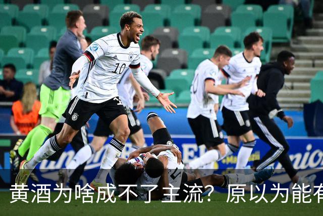 黄酒为啥成不了主流？原以为能有共鸣，谁料评论一边倒