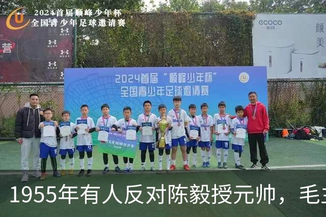 1955年有人反对陈毅授元帅，毛主席力挺：三年游击战功不可没！