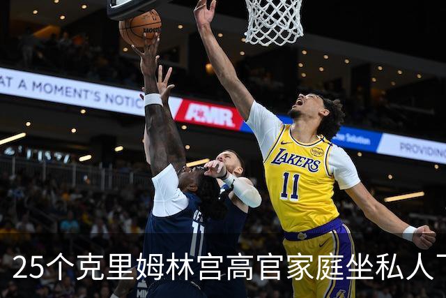 25个克里姆林宫高官家庭坐私人飞机出境600多次