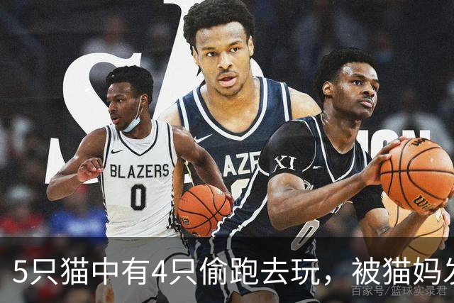 5只猫中有4只偷跑去玩，被猫妈发现后轮番揍，网友：一眼就看出谁没去哈哈！